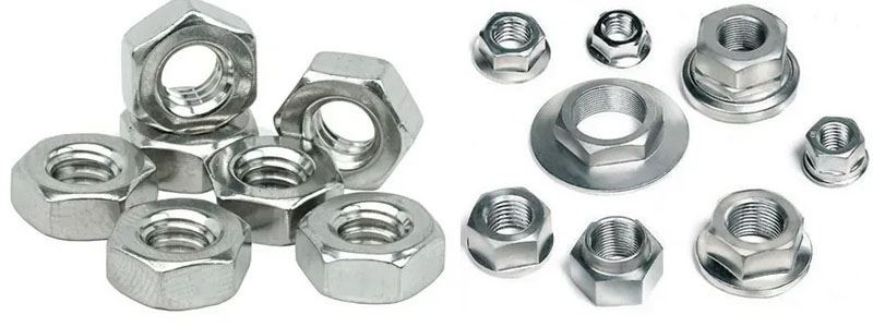  Nuts Manufacturer, Supplier and Stockist in India 